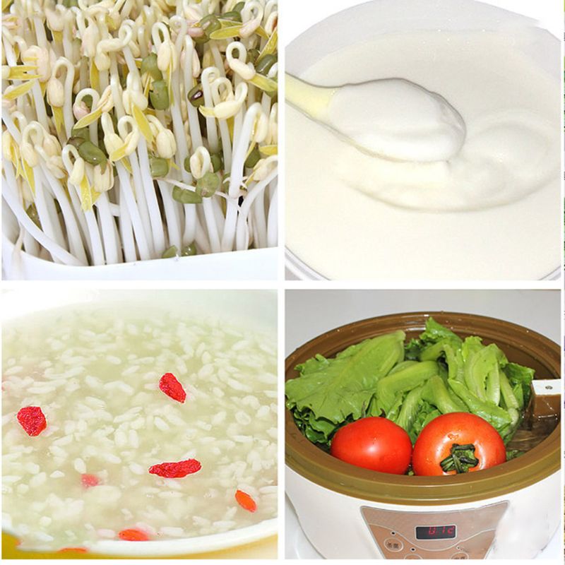 Automatic Intelligent Germination Machine Grow Bean Sprouts Green Seeds Growing