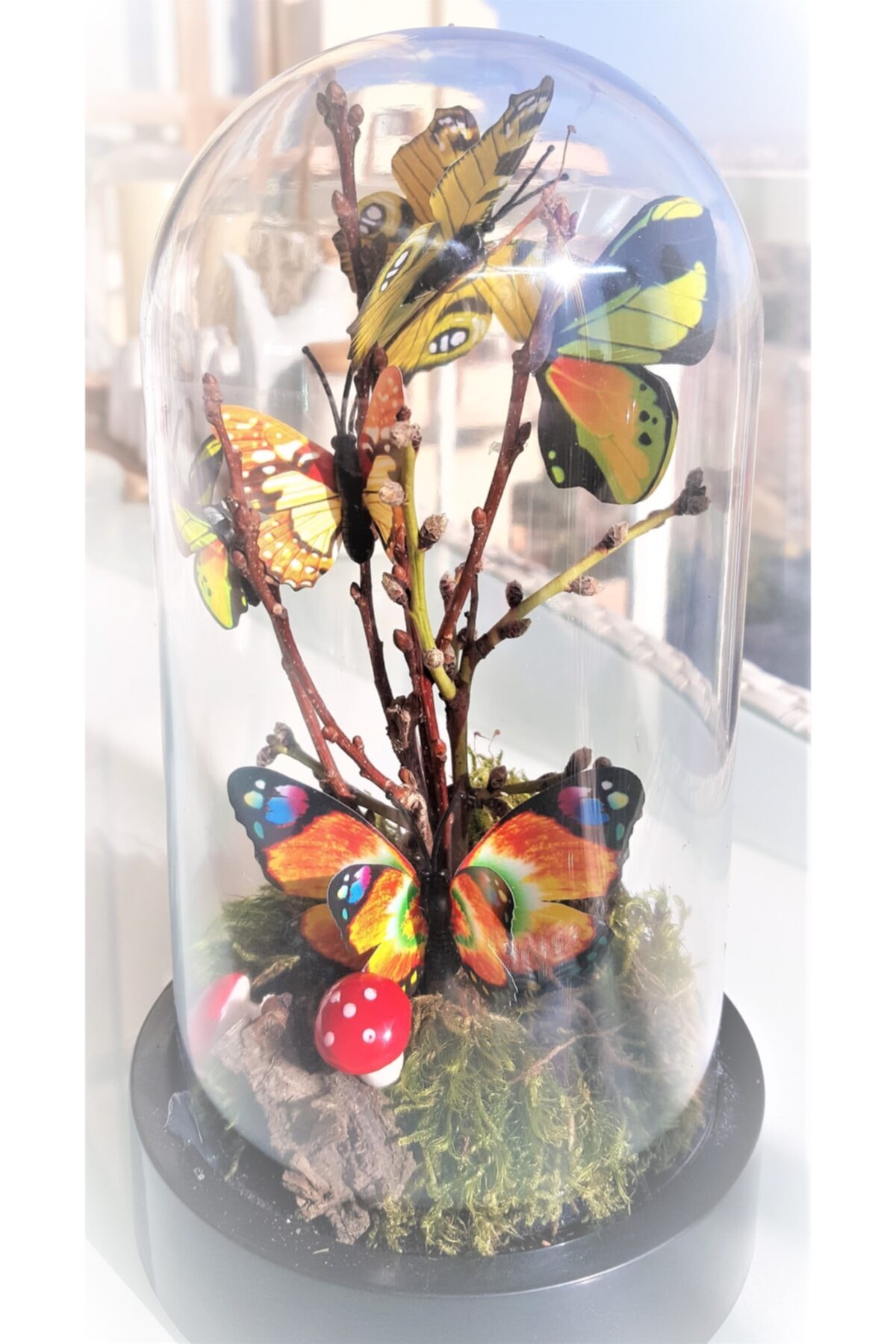 Vase lumineux avec papillon, spécial, décoratif