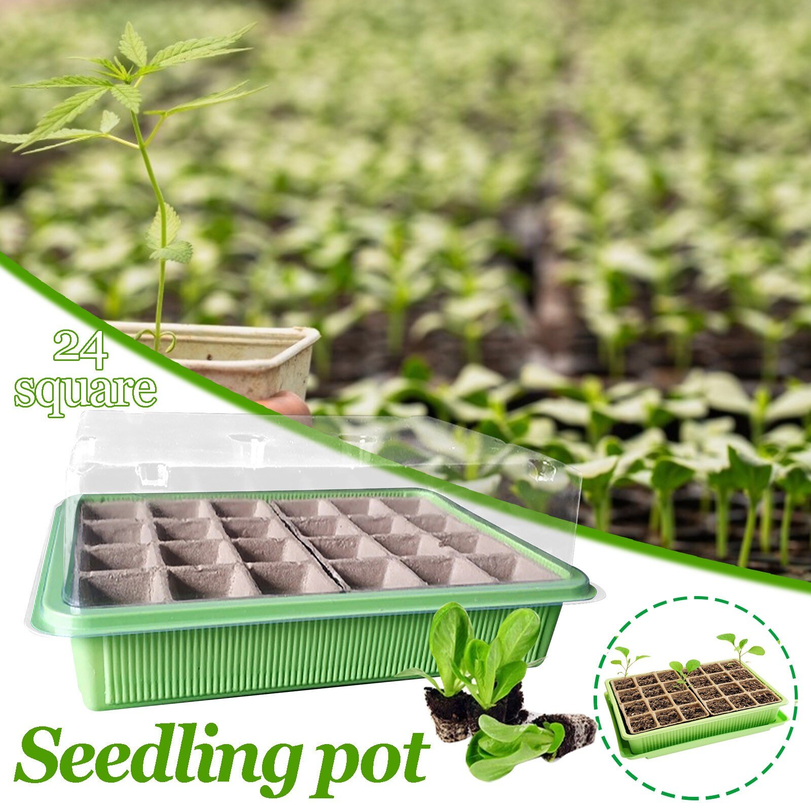 24 Cells Gardening Mini Breathable Lids Plastic Germination Box Nursery Pots Seedling Box Set