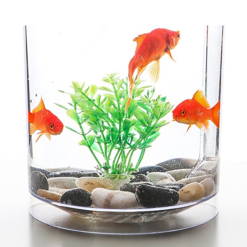 Mini sylinder akvarium startsett med led belysning mini landskap