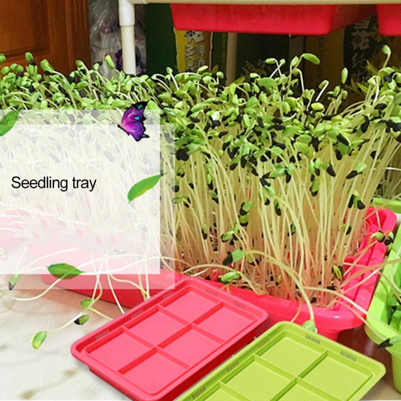 Sprouter Nursery Tray Double-layer Soilless Culture Beans Hydroponic Nursery Tray Garden Supplies Hidroponia Seedling Trays