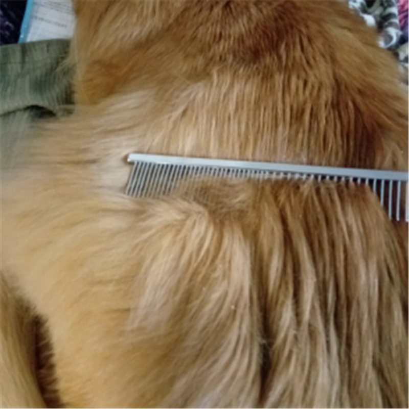 Metalen Kam voor Honden Rvs Huisdier Hond Kat Pin Kam Haar Borstel Haarborstel Vlooienkammetje Honden Katten Huisdieren Acessorios pet Grooming