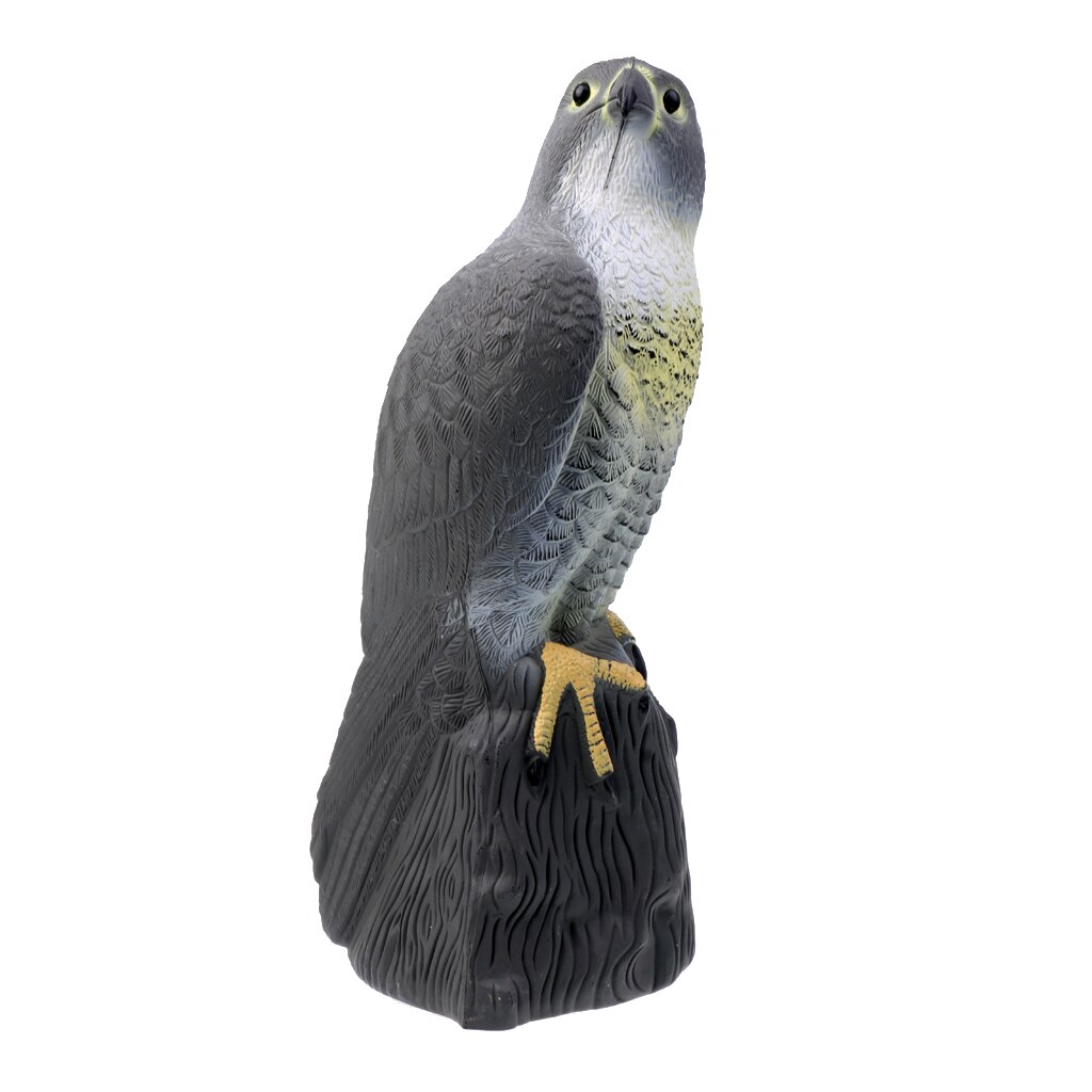 Lichtgewicht Tuin Decors Levensechte Eagle Lokvogels Realistische Decoying