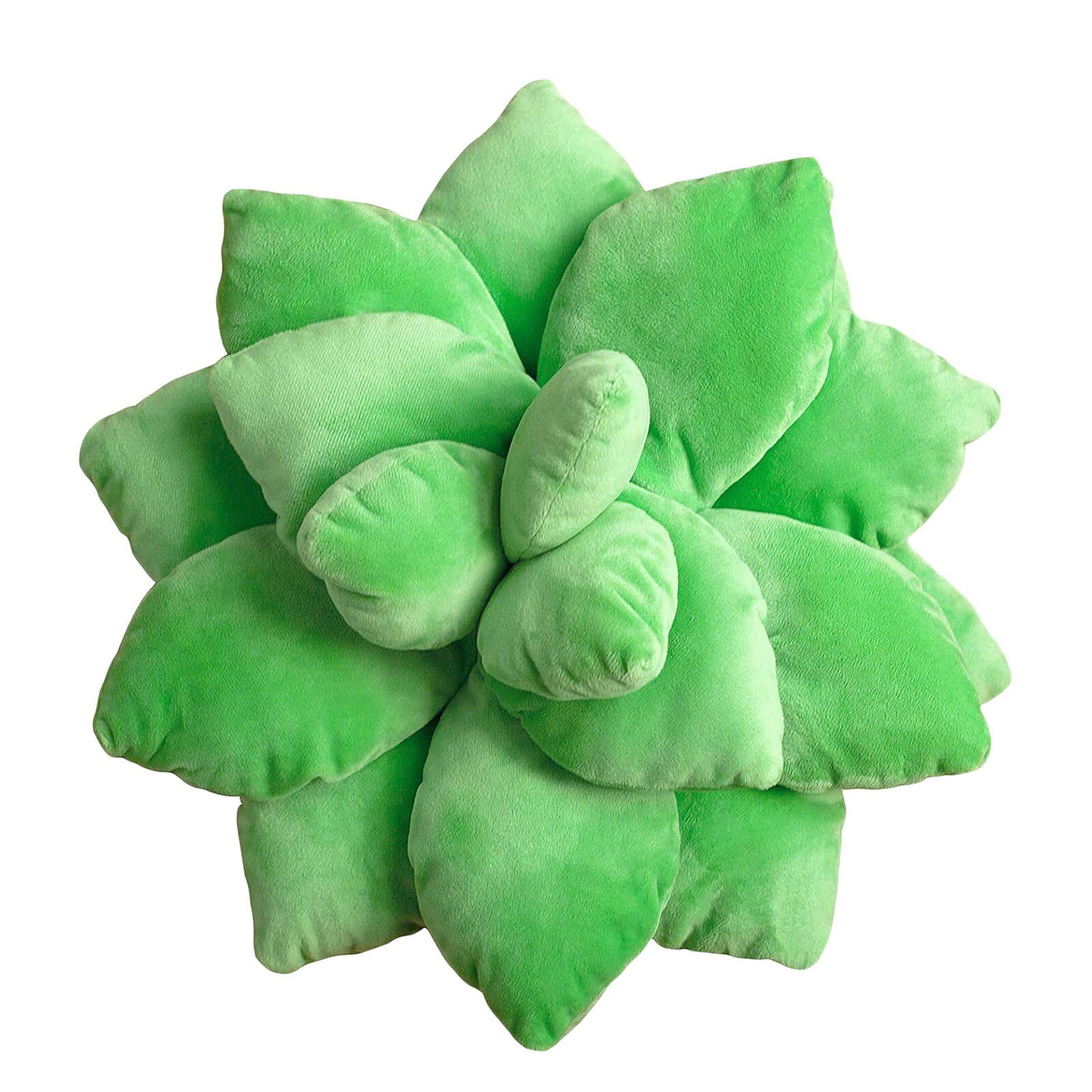 Succulent Cactus Kussen Decor Tuin Groen Liefhebbers Leuke Vetplanten Jongen Meisje Kamer Slaapkamer Decor Woonaccessoires