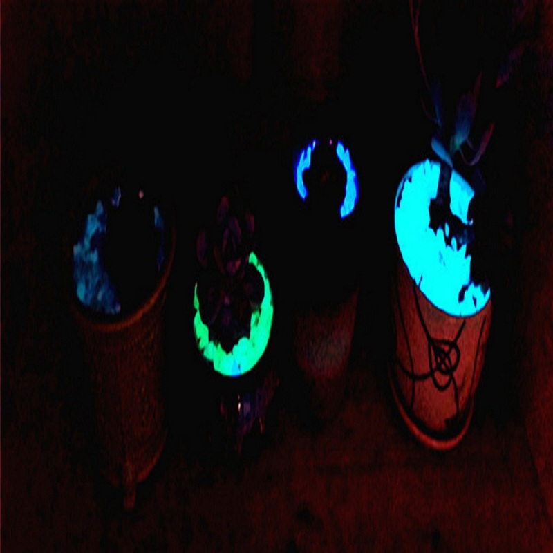 Kamień świecący pochłaniający światło kamień akwarium kamień fluorescencyjny świecące ciemne ścieżki na trawnik ogrodowy dekoracje ogrodowe zh1