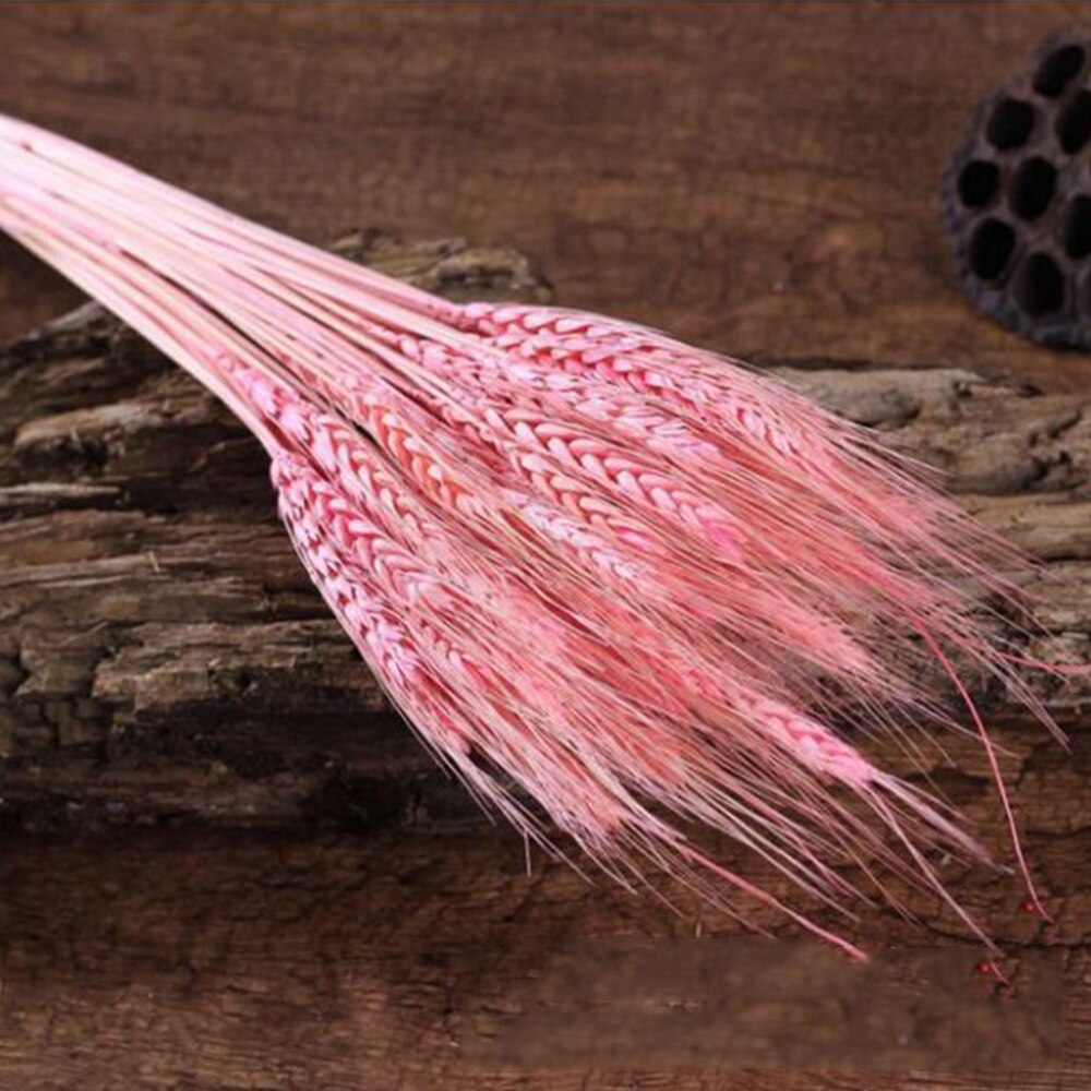 50Pcs/lot Real Wheat Ear Flower Natural Dried Flowers or Wedding Party Decoration DIY Craft Scrapbook Home Decor Wheat Bouquet: Pink
