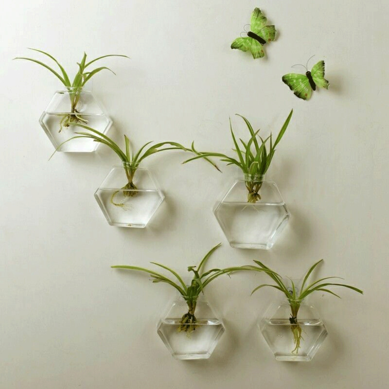 Unieke hangende bloempot, bolvormige vaas van helder glas, hydrocultuur terrarium, wand aquarium, potplant, bloem, fles, decoratie aquarium