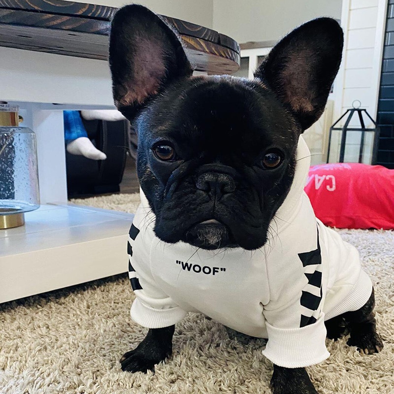 Dog Hoodie Winter Pet Dog Clothes For Dogs Coat Jacket Cotton Ropa Perro French Bulldog Clothing For Dogs Pets Clothing