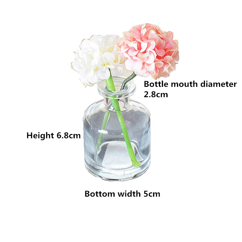 Transparent Flower Vases Glass for Decoration Hydroponic Plant Vase Flower Bottle Living Room Decoration Dried Flower Desktop: D