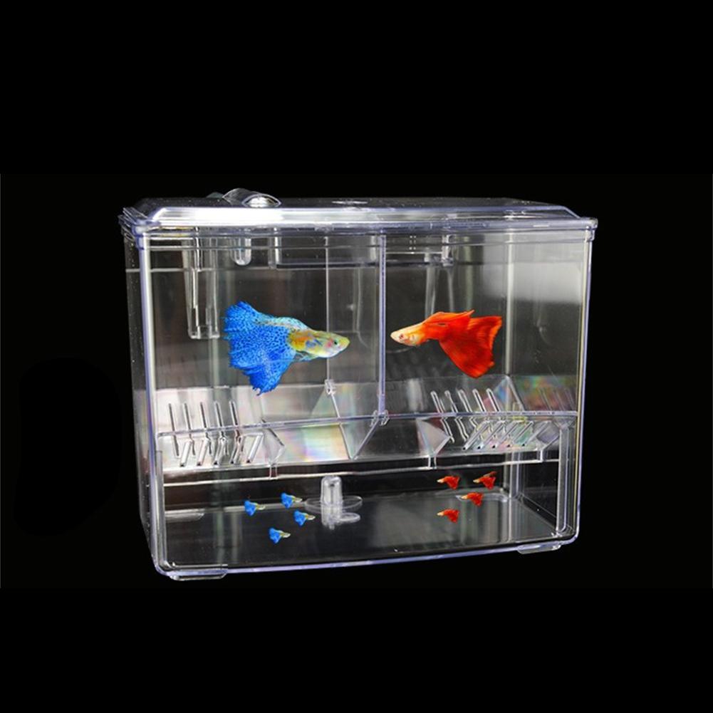 Scatola da appendere per isolamento dell'acquario