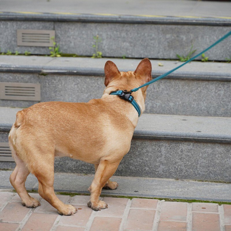 Comfortable Diving Cloth Lining Dog Collar Small Dog Anti-strangle Collar Large Dog Medium Golden Retriever for Pet