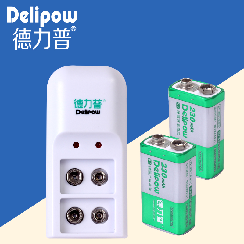Delipow 9 V oplaadbare hoge capaciteit 9 V batterij oplader kit microfoon batterij 1 + 2 Oplaadbare Ion mobiele
