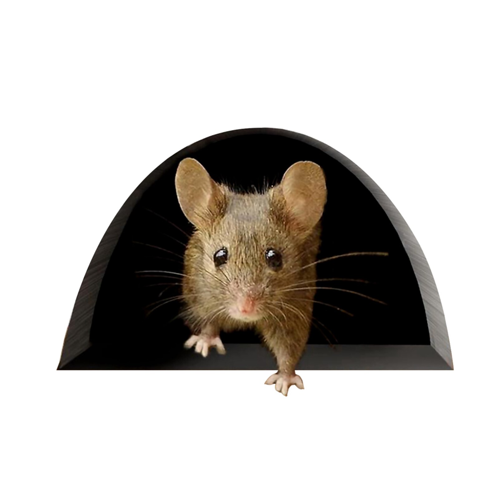 5Pcs Cartoon Muis Gat Muur Sticker Grappig Huishoudelijke Achtergrond Decoratie Muur Sticker Voor Woonkamer Slaapkamer Keuken Glas: C