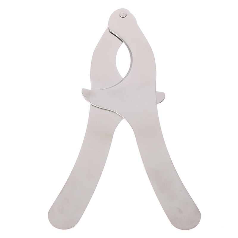 1Pc Zee-egel Opener Schaar Echinus Tang Kastanje Open Cutter Professionele
