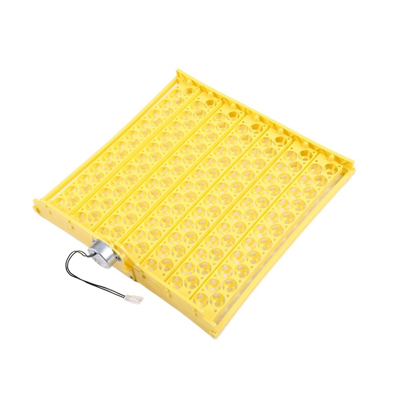 Bygytyo Lot De 240 Anneaux D'identification En Plastique Pour Pattes De Poulet - Plusieurs Couleurs - Pour Pigeons, Inséparables, Coturnix, Caille, Poulet, Oie, Gibier Et Dinde