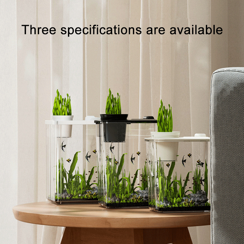 Acquari trasparenti in acrilico Plexiglass resistente agli urti Soggiorno su piccola scala Paesaggio Serbatoio ecologico Acquari e acquari