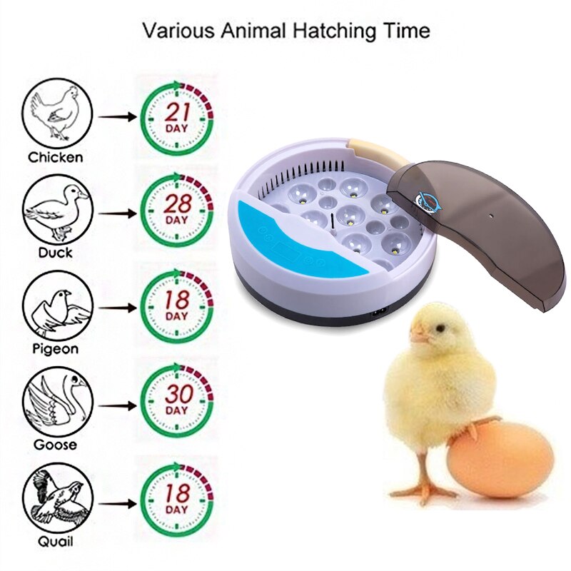 Incubatrice Automatica Per Uova Da 112 - Con Controllo Temperatura E Umidit&agrave;, Girauova | Per Galline, Quaglie, Anatre
