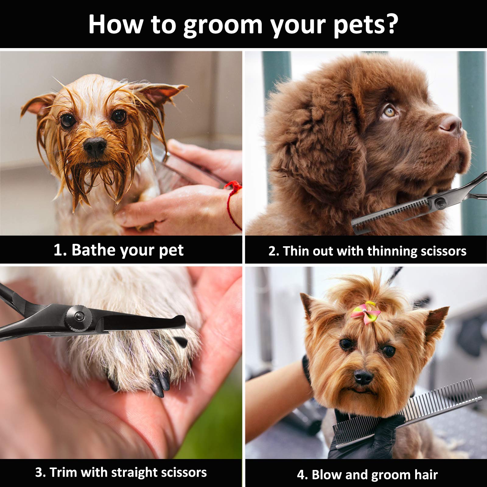 Dog Grooming Scissors Set with Safety Round Tips, 6 in 1 Thinning&amp;Straight&amp;Curved Shears Comb for Dogs and Cats