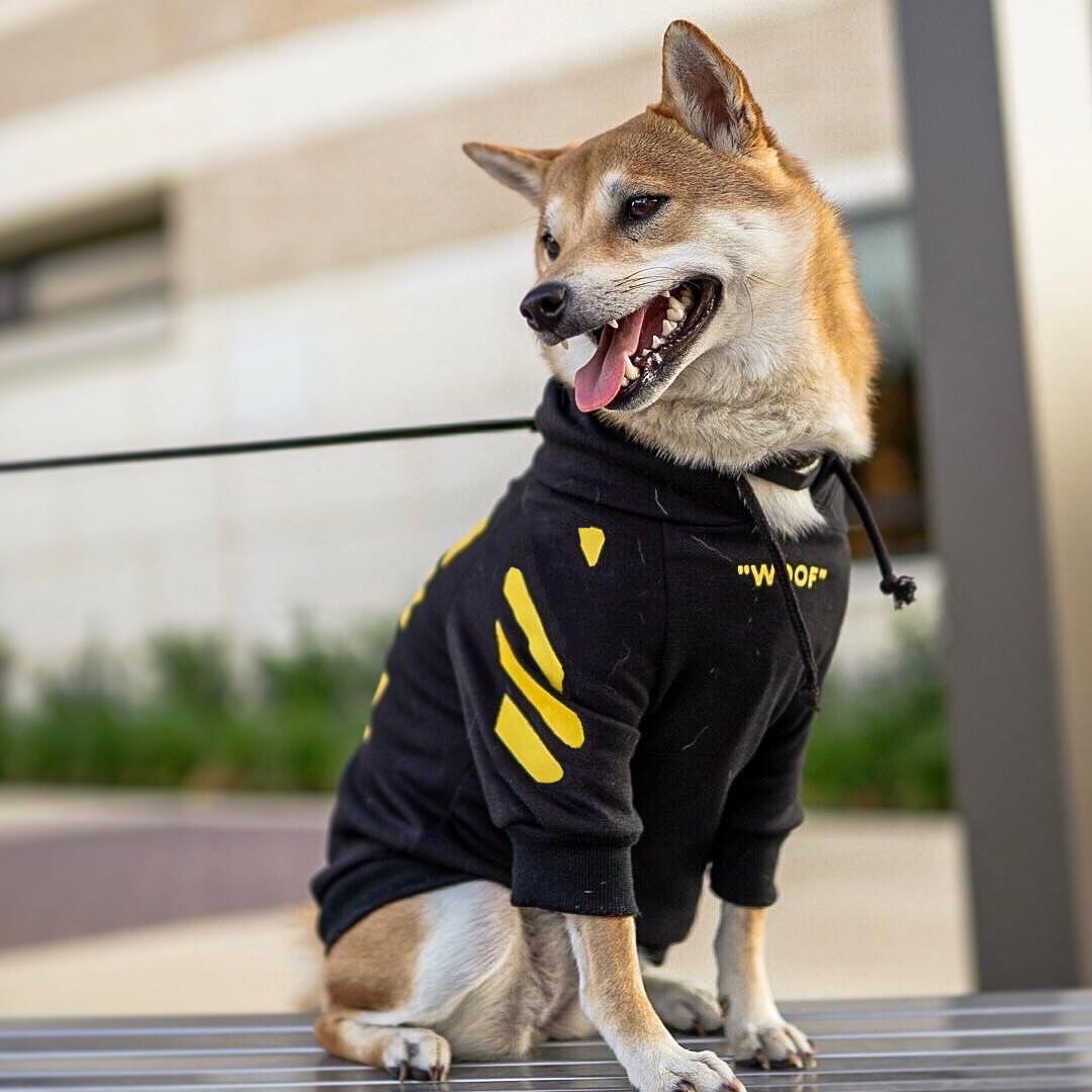 Französisch Bulldog Kleidung Hund Hoodie Warme Sport Retro Hund Hoodies Haustier Kleidung Welpen Hund Möpse Puppy Kleidung Chihuahua