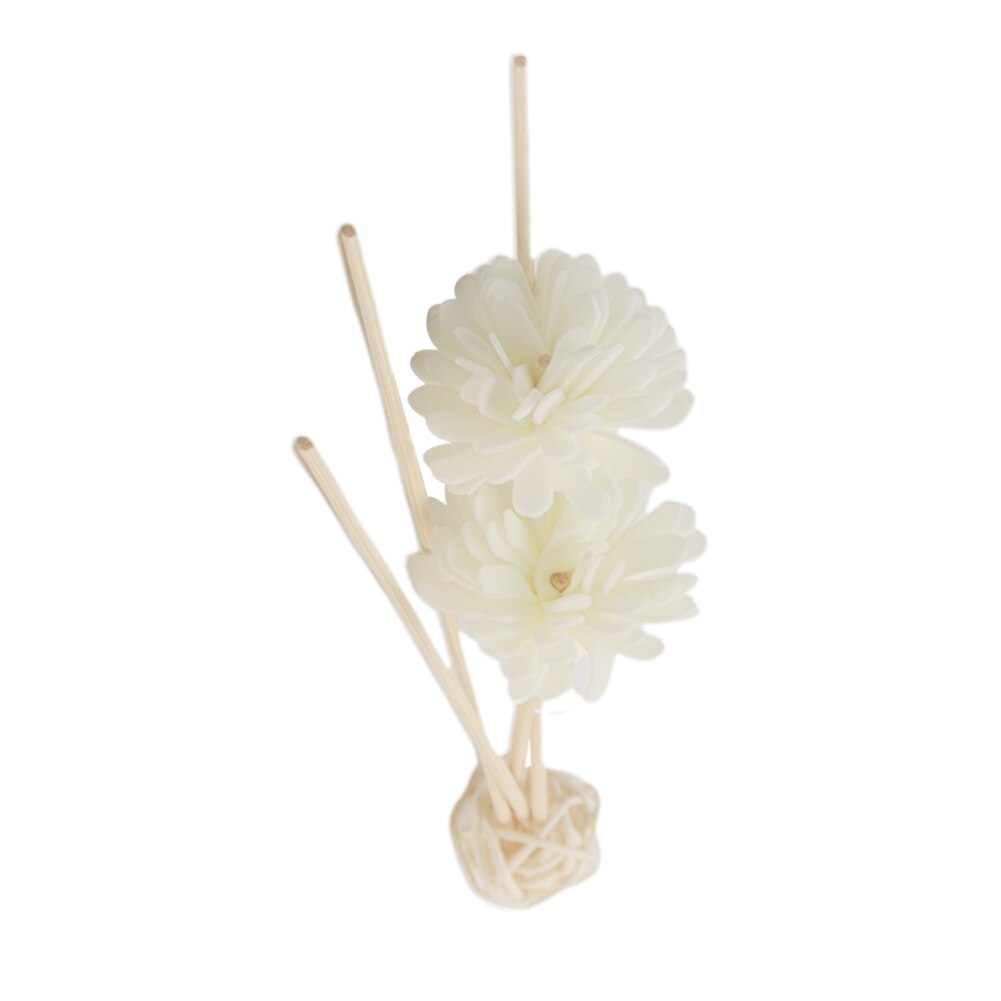 Purifying Air Aroma Diffuser Set Rattan Sticks Fragrance Exquisite Relieve Stress No Fire Decoration Aromatherapy Car Portable