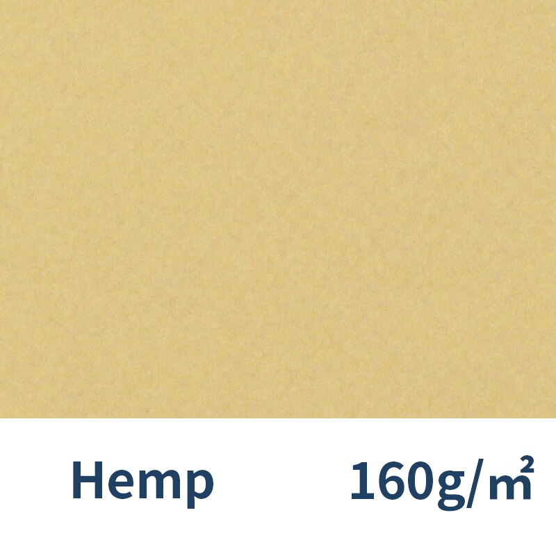 France Canson Soft Pastel Paper 4K Mi-Teintes 12Pcs Oil Pastels Painting Paper Chalk Crayon Sketch Color Pencils