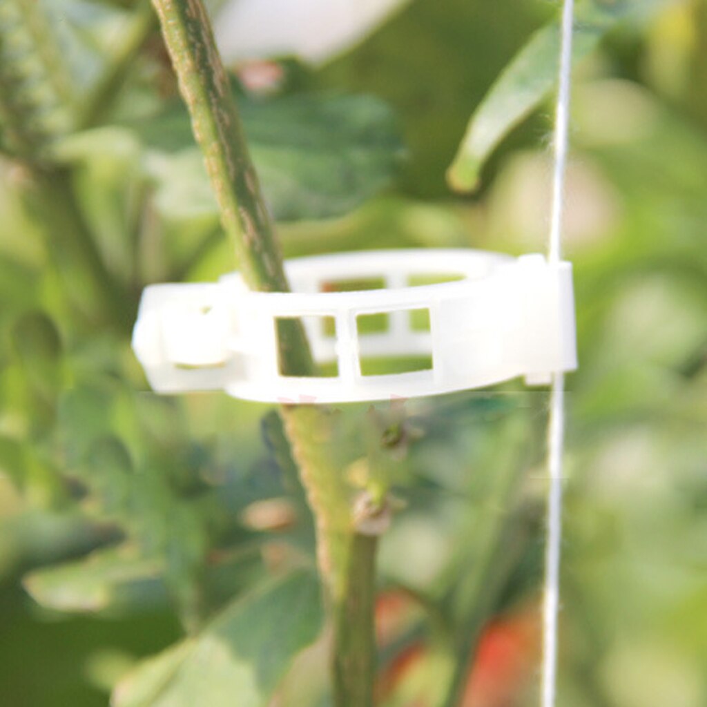 100x Tomato Veggie Garden Plants Support Clips For Trellis Twine Greenhouse