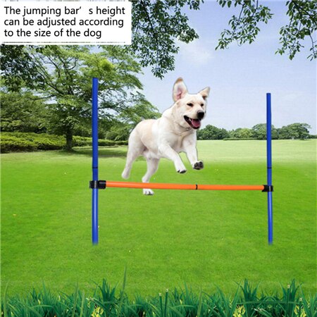 Buiten Honden Games Oefening Training Apparatuur Barrière Twee Soorten Pet Training Speelgoed Honden Jump Hoge Speelgoed Huisdier Speelgoed Sport: A