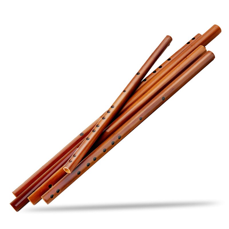 Dizi beginner zero basic black flute instrument adult playing bamboo flute: Wood E