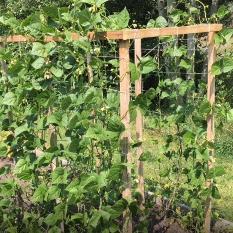 1Pcs Grow Frame Flower Vine Garden Weaving Plant Climbing Net Vegetable Polyester Support Cucumber Trellis Netting Mesh Land