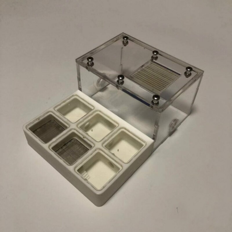 Plane nest ant hall 3D ant nest plane nest ants farm ants farm house insect boxes