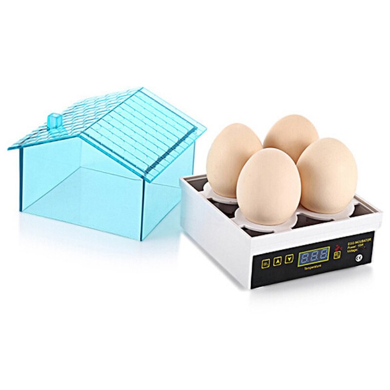 Incubadora de incubadora con enchufe estadounidense, pequeña incubadora con temperatura Digital de 4 huevos