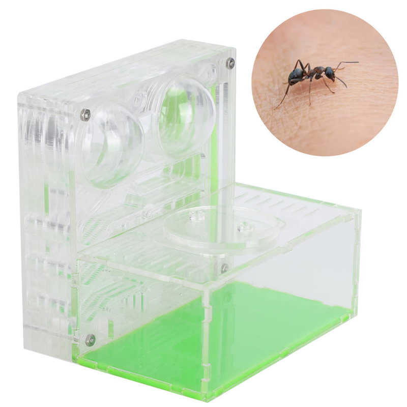 Insects Box ant farm Transparent Acrylic Ant Breeding Box Watching Feeding Moisturizing Ants Case B Type Reptiles Living Box