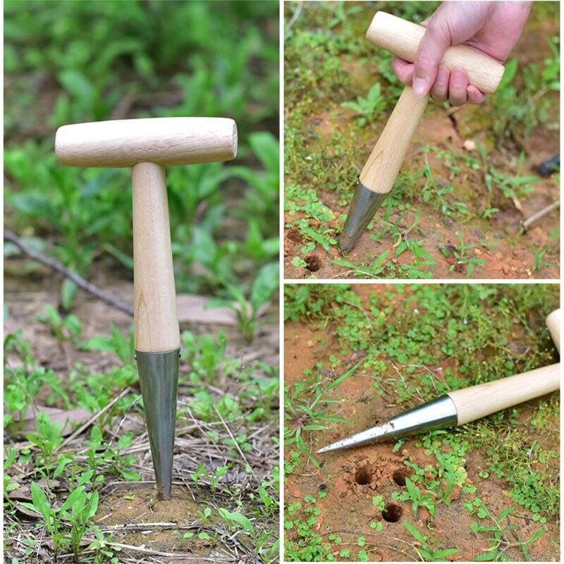 Accueil jardinage trou perforateur fertilisation semis plante semis coupe semis semis outil de jardin fournitures de plantation D23 20