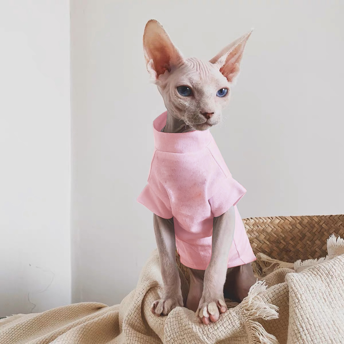 Sphynx chat vêtements coton sans poils chat gilet bébé 100% coton doux été sans manches mince gilet chat vêtements pour Devon, Cornish