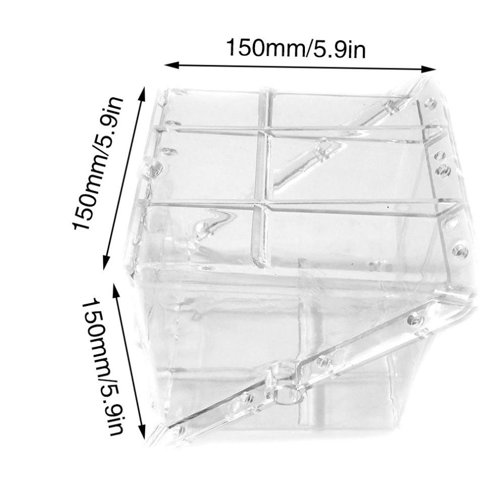Vierkante watermeloenvormige groeivorm 15 x 15 vierkante watermeloenvorm praktische vierkante plastic vorm