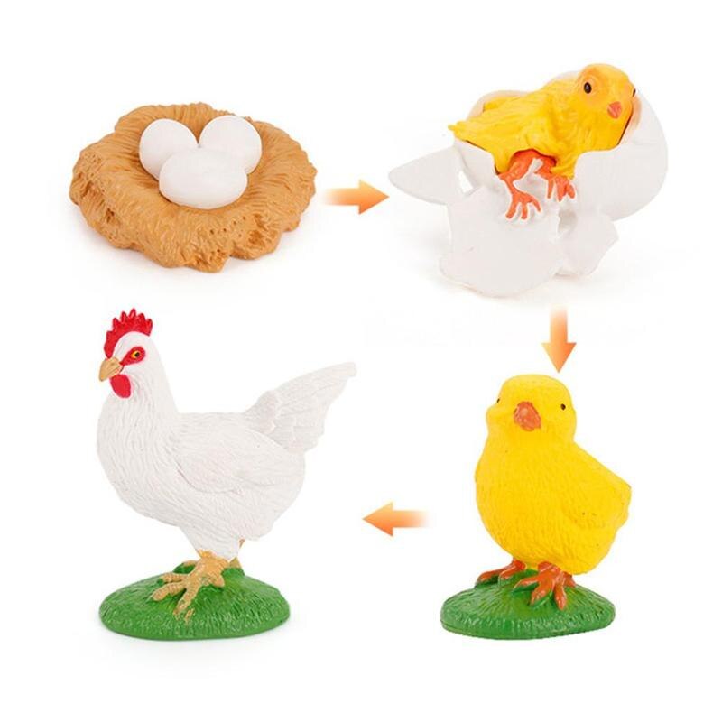 Simulation Animals Life Cycle Figurines, Frog Ant Mosquito Sea Turtle Chicken Growth Cycle Model Figures toys play set