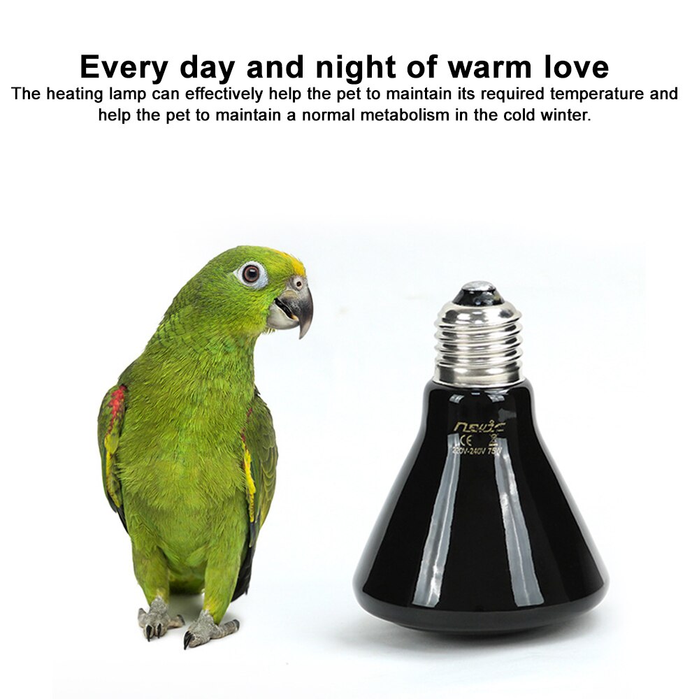 100-240V 75/150W E27 Pet Heating Lamp Black Infrared Ceramic Emitter Heat Light Bulb Pet Brooder Reptile Lamp Chocadeira Reptile: C 150W
