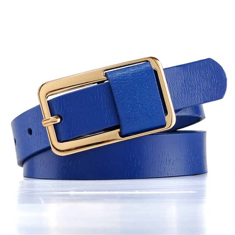 Luxe Riemen Voor Vrouwen Pin Gesp Vrouwen Pu Riemen Ceinture Femme: Blauw