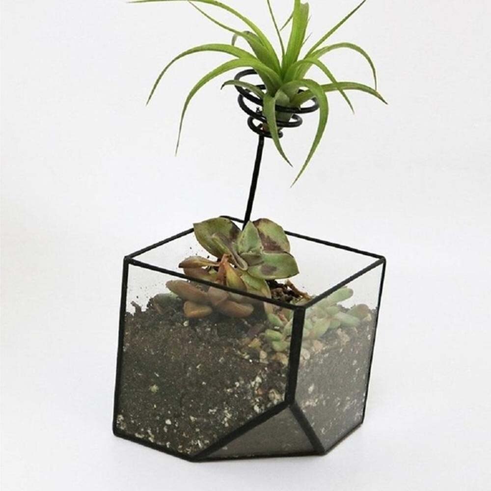 Mini Decorative Metal Air Plant Pot Stand Container Holder Balcony Decor For Airplants Tillandsia Garden Supplies