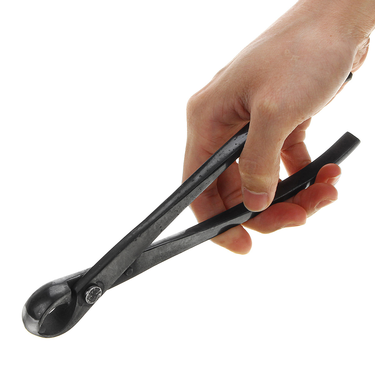 Coupe-bord rond pour débutants, outils de bonsaï multifonctions en acier au carbone, coupe-branche et coupe-bouton de 210 mm