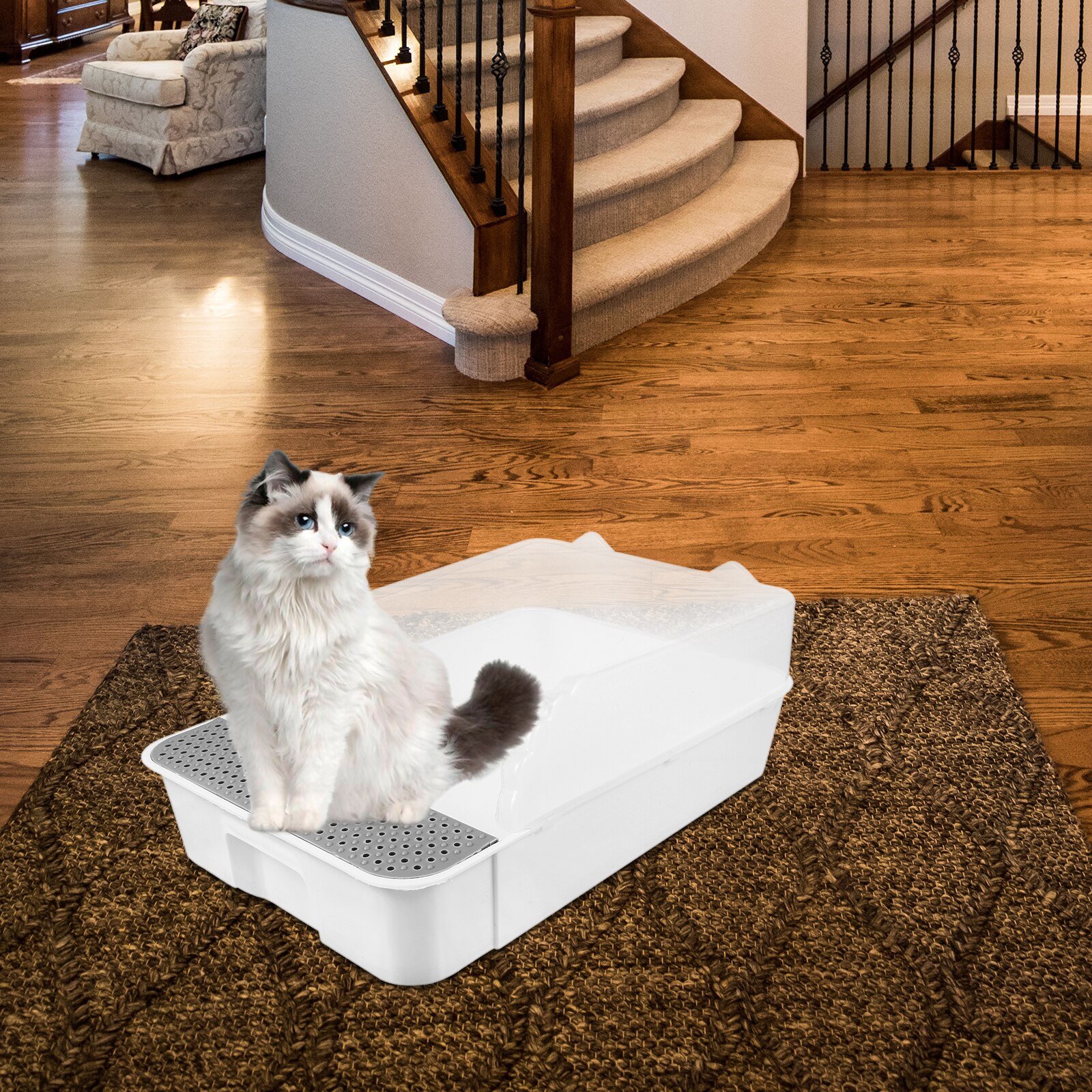 Pot de toilette Semi-fermé de pour chat, coin propre, bac à litière amovible, anti-éclaboussures, boîte à pipi pour chat