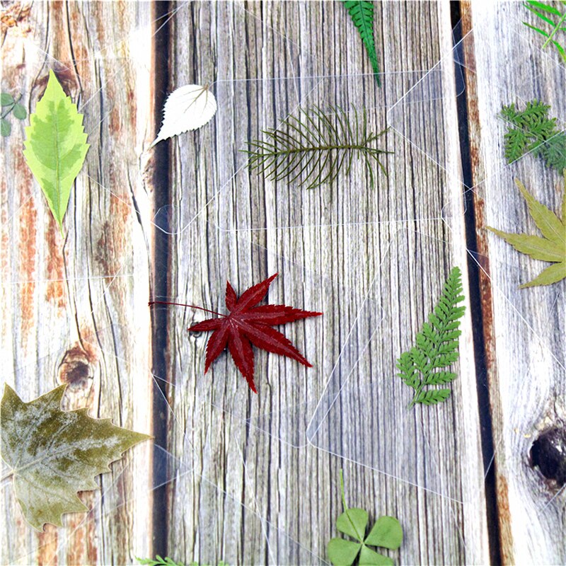 10pcsBookmark Handmade Real Pressed Maple Leaf Tree Fall Autumn Leaves Page Corner Page Student Stationery School Office Supply