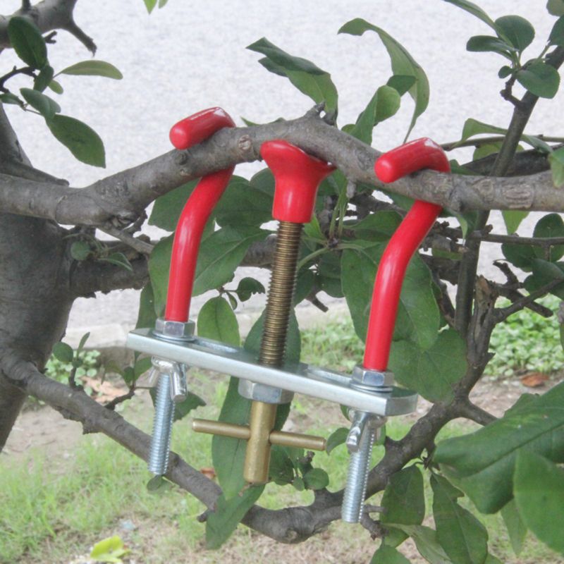 Sécateur cintreuse bonsaï bricolage outil de modélisation brindille tronc ajusteur petite cintreuse appareil incurvé
