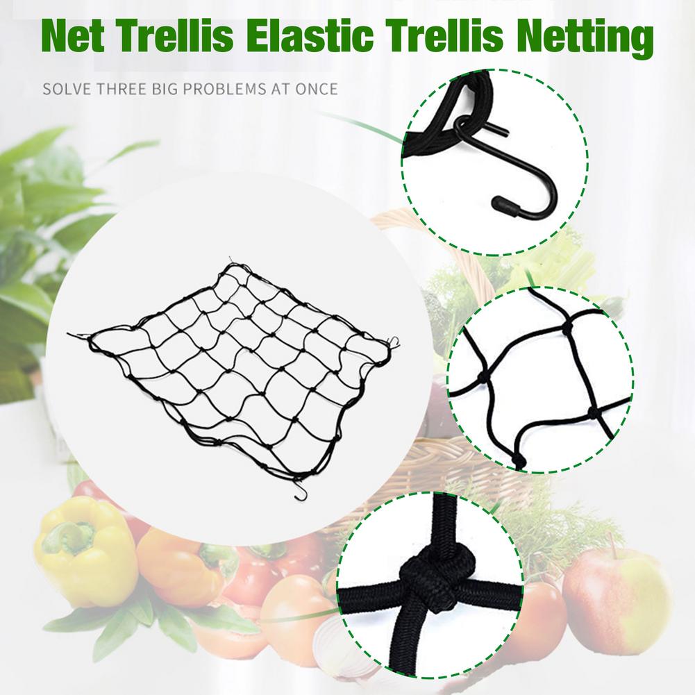 Flexible Net Trellis Elastic Trellis Netting with 4 Steel Hooks for Grow Tents Garden Botany Uniform illumination