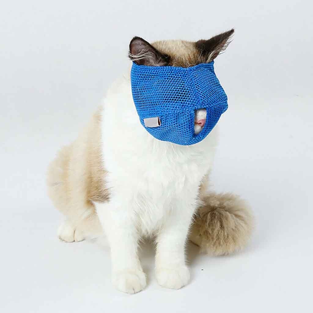 Andningsbar katt nätmask katt munkorg anti bite kattunge mus munkorg för att bita bad skönhet reseverktyg katter grooming tillbehör