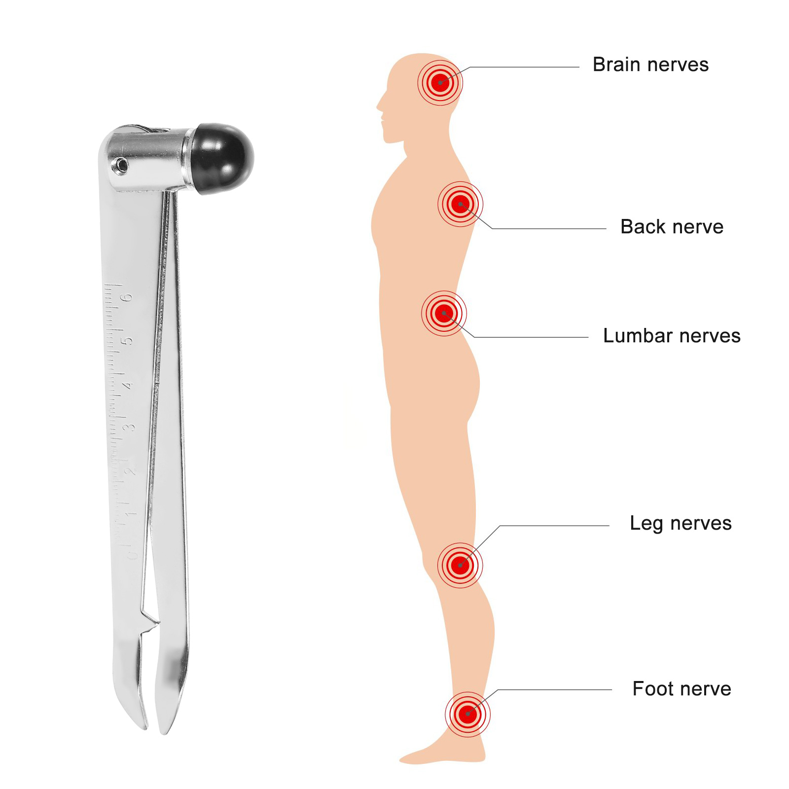 2pcs Clinic Percussion Hammers Reflex Hammer Diagnosis Testing Hammer with Scale