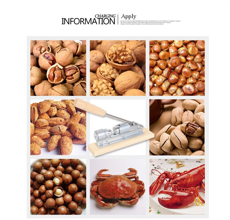 Clip mecánico de acero inoxidable para cáscara de nuez, abridor de nueces, pinzas de sujeción para Cascanueces