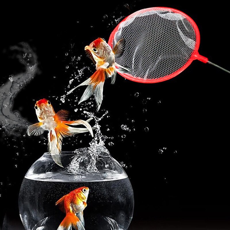 10.5 centimetri Rotondo Diametro A Rete per I Bambini di proprietà Cattura Giocattolo Rete Da Pesca Insetto Farfalla ricevitore rete Esterna di Acqua Strumento di Gioco casuale