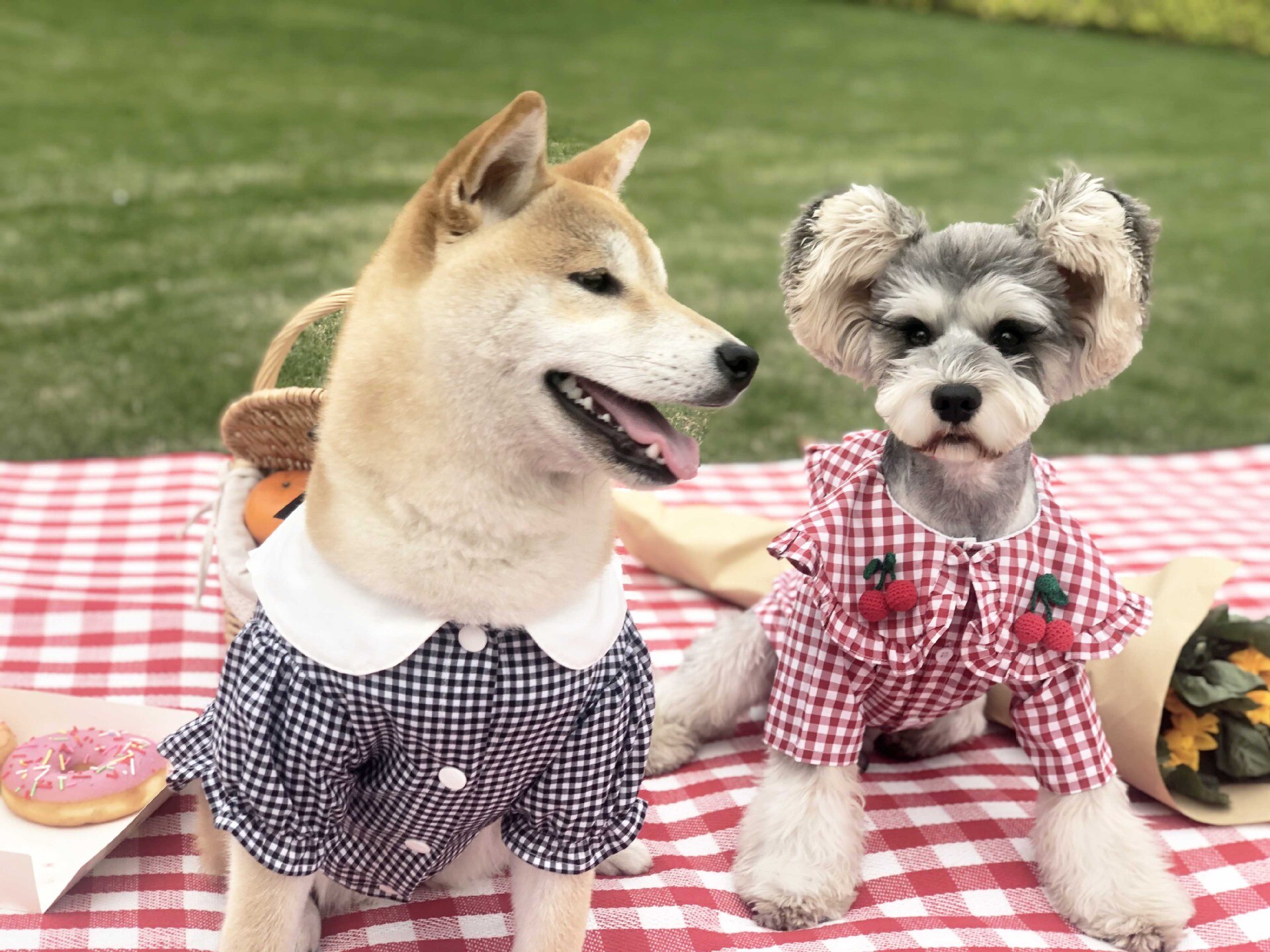 Katoen Plaid Shirt Pet Kleding Honden Beer Cartoon Dunne Shirt Rood Cherry Plaid Korte Mouwen Puppy Teddy Franse Bulldog schnauze