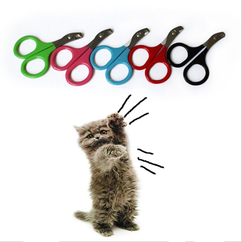 Curated visual reference: Fresh Look at Kitten Claw Care Supplies Tool For Small Animal Pe